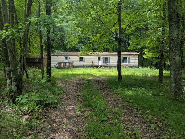1307 N Blacksmith Lane, White Cloud, MI 49349