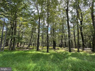 116 SPRING MOUNTAIN DRIVE, ZION GROVE, PA 17985