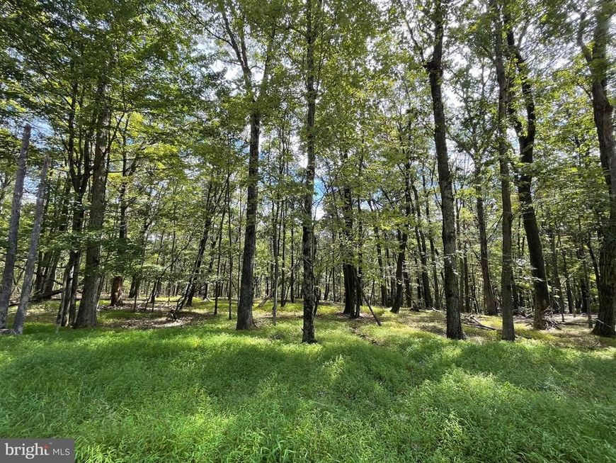 116 Spring Mountain Drive , Zion Grove, PA 17985 Main Photo