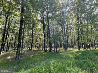 117 SPRING MOUNTAIN DRIVE, ZION GROVE, PA 17985