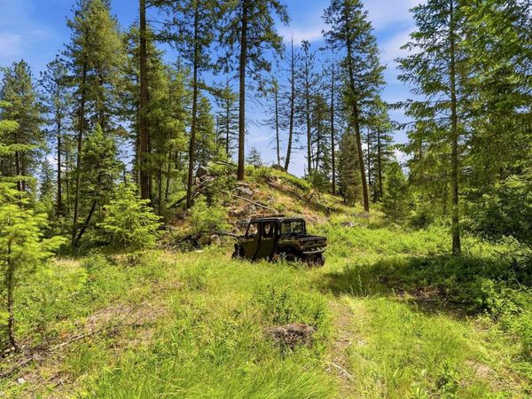 TBD Undisclosed Address, Deer Park, WA 99006