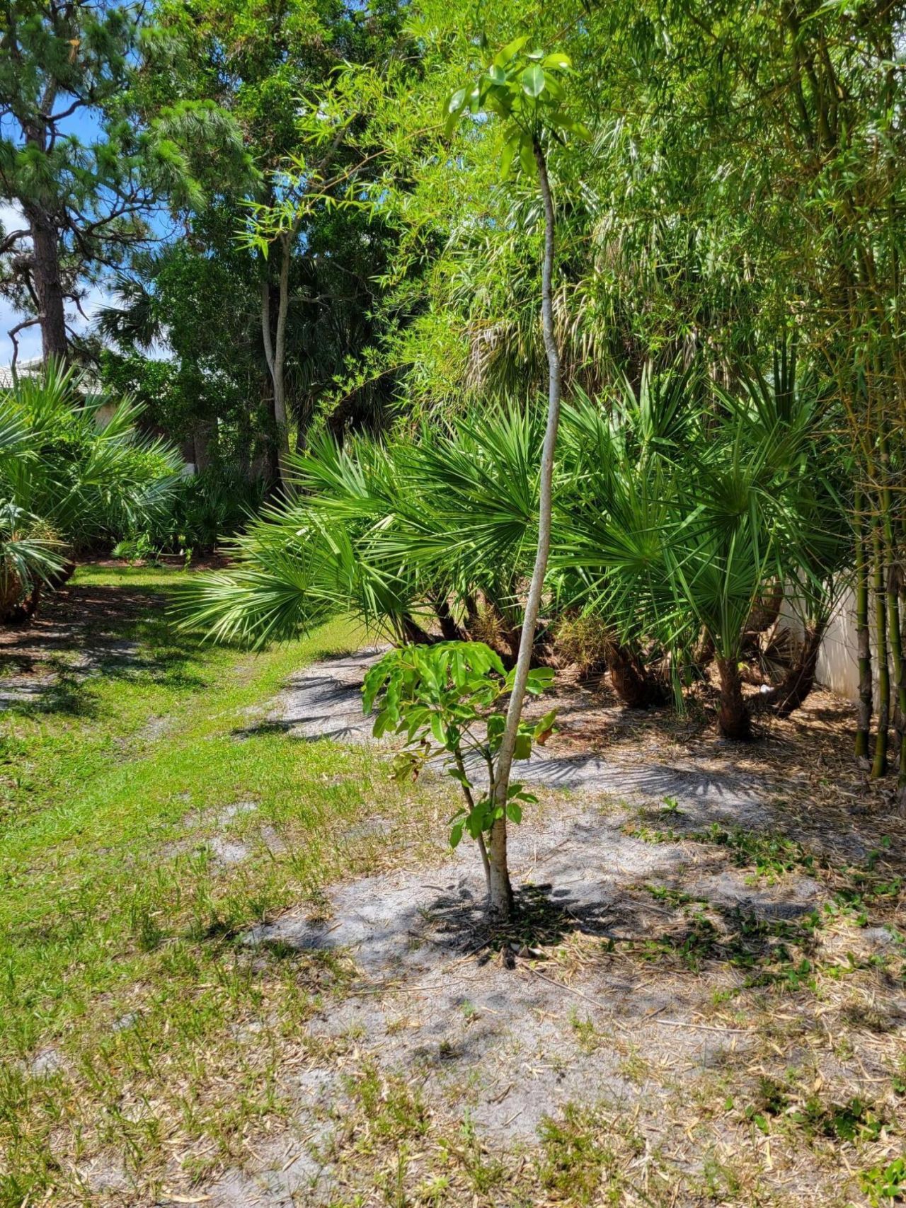 903 SE Camelot Gardens Boulevard Se, Port Saint Lucie, FL 34952 Photo