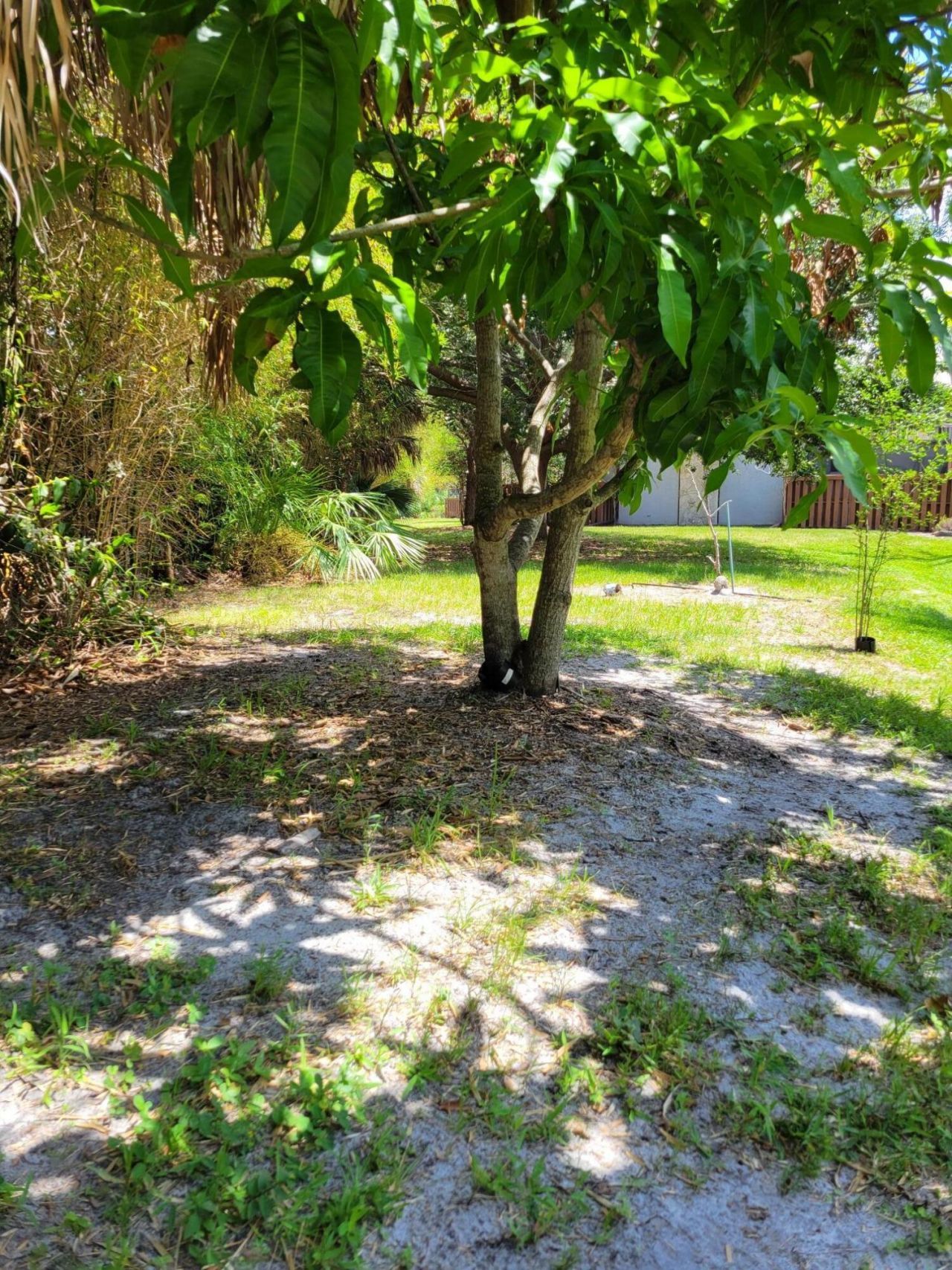 903 SE Camelot Gardens Boulevard Se, Port Saint Lucie, FL 34952 Photo