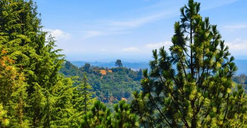 4221 Sunrise Ridge Rd, Shingle Springs, CA 95682 Photo