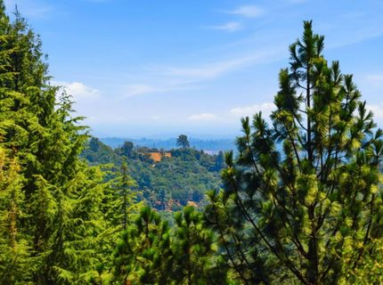 4221 Sunrise Ridge Rd, Shingle Springs, CA 95682 Photo