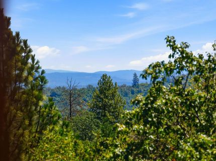 4221 Sunrise Ridge Rd, Shingle Springs, CA 95682 Photo