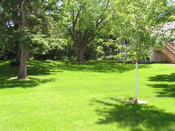 2041 103rd Avenue NW, Coon Rapids, MN 55433