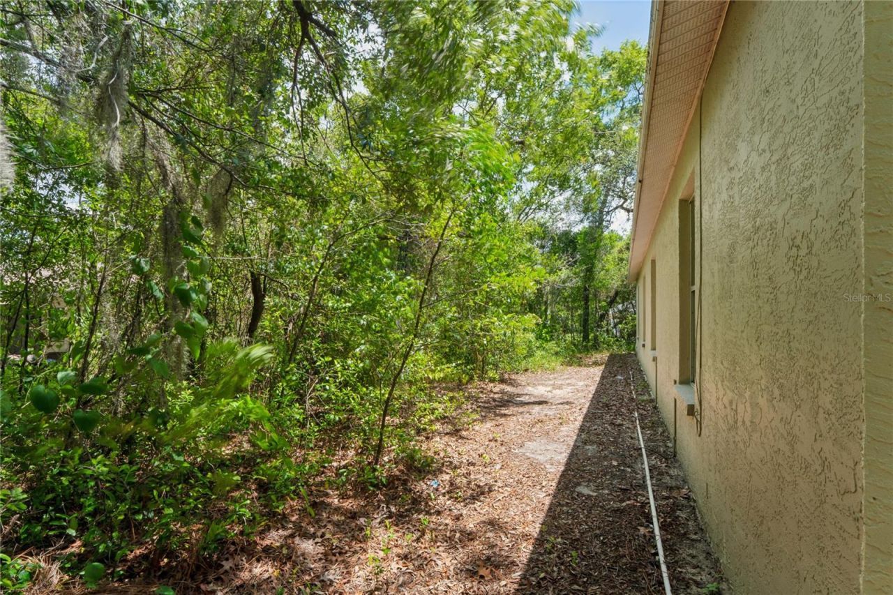 4362 Azora Road, Spring Hill, FL 34608 Photo