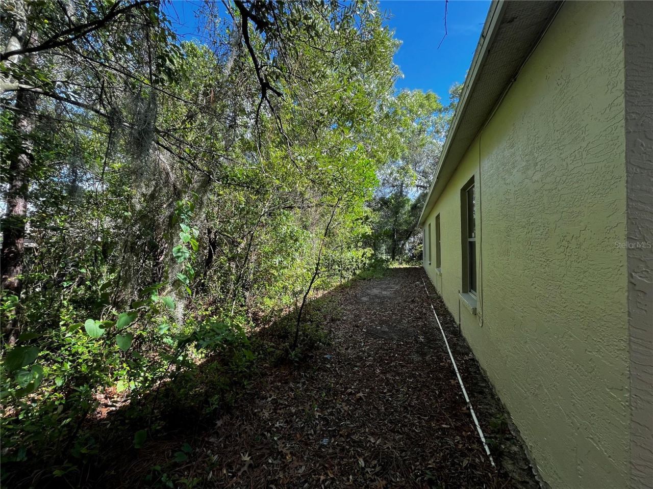 4362 Azora Road, Spring Hill, FL 34608 Photo