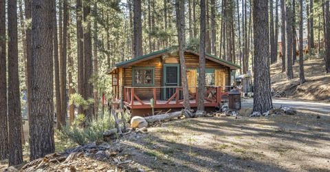77 Ox Bow, Markleeville, CA 96120 Photo