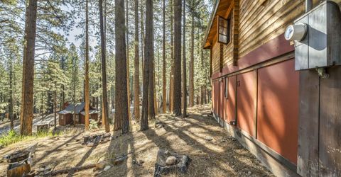 77 Ox Bow, Markleeville, CA 96120 Photo