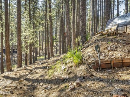 77 Ox Bow, Markleeville, CA 96120 Photo