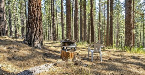 77 Ox Bow, Markleeville, CA 96120 Photo