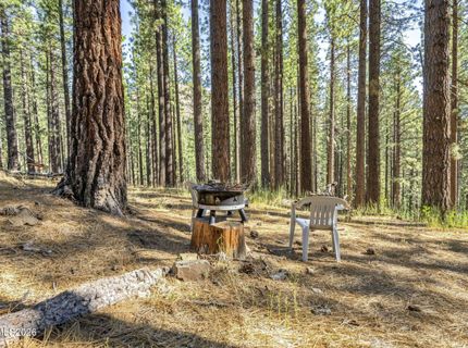 77 Ox Bow, Markleeville, CA 96120 Photo
