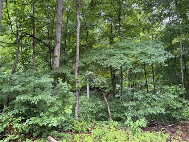 lot 3 George Hardwick Drive, Bronston, KY 42518