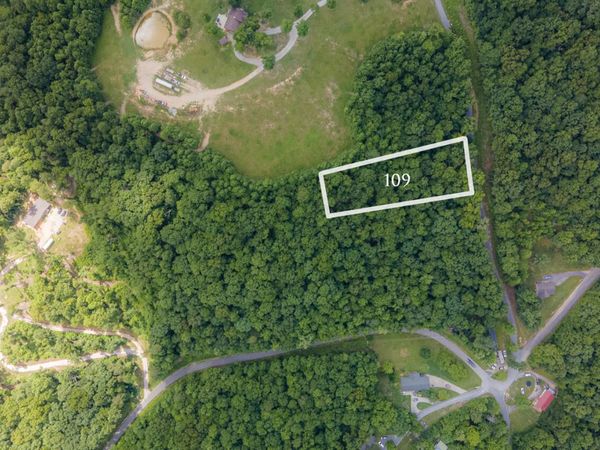 S Sudenny Lane, LaFollette, TN 37766