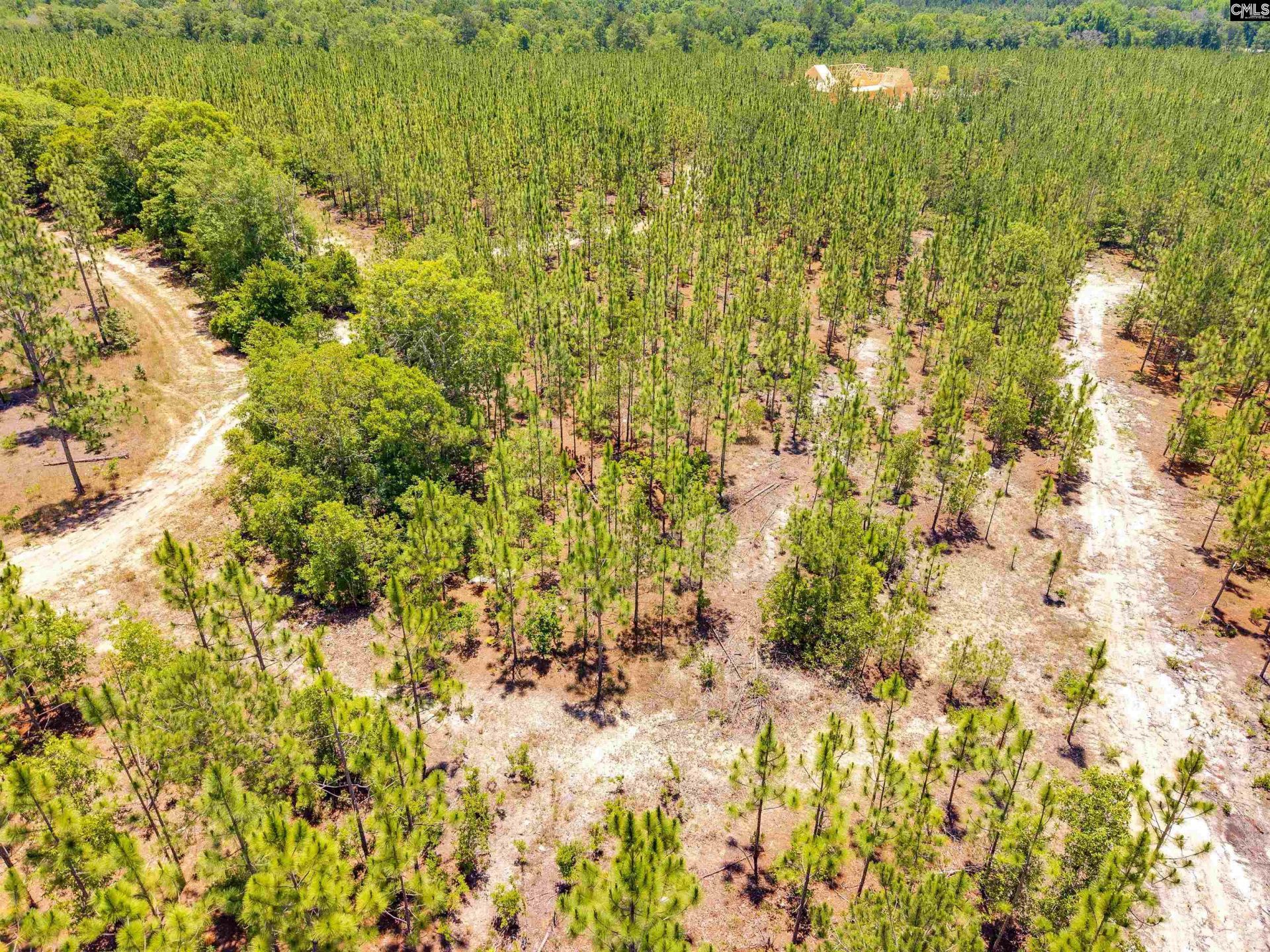 1549 Lawhorn Road  Photo 15