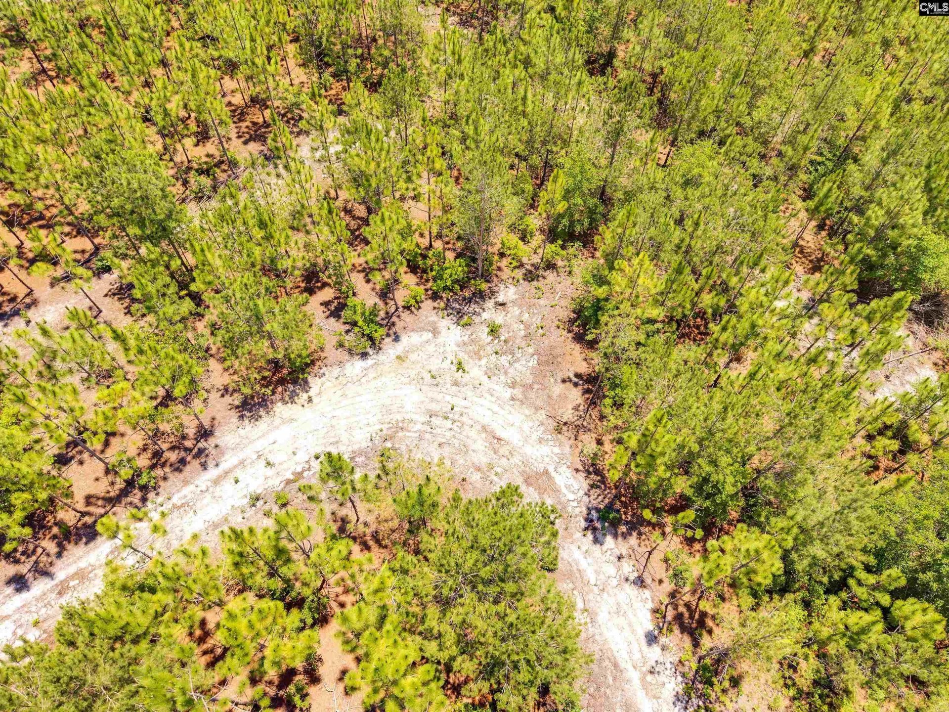 1549 Lawhorn Road  Photo 16