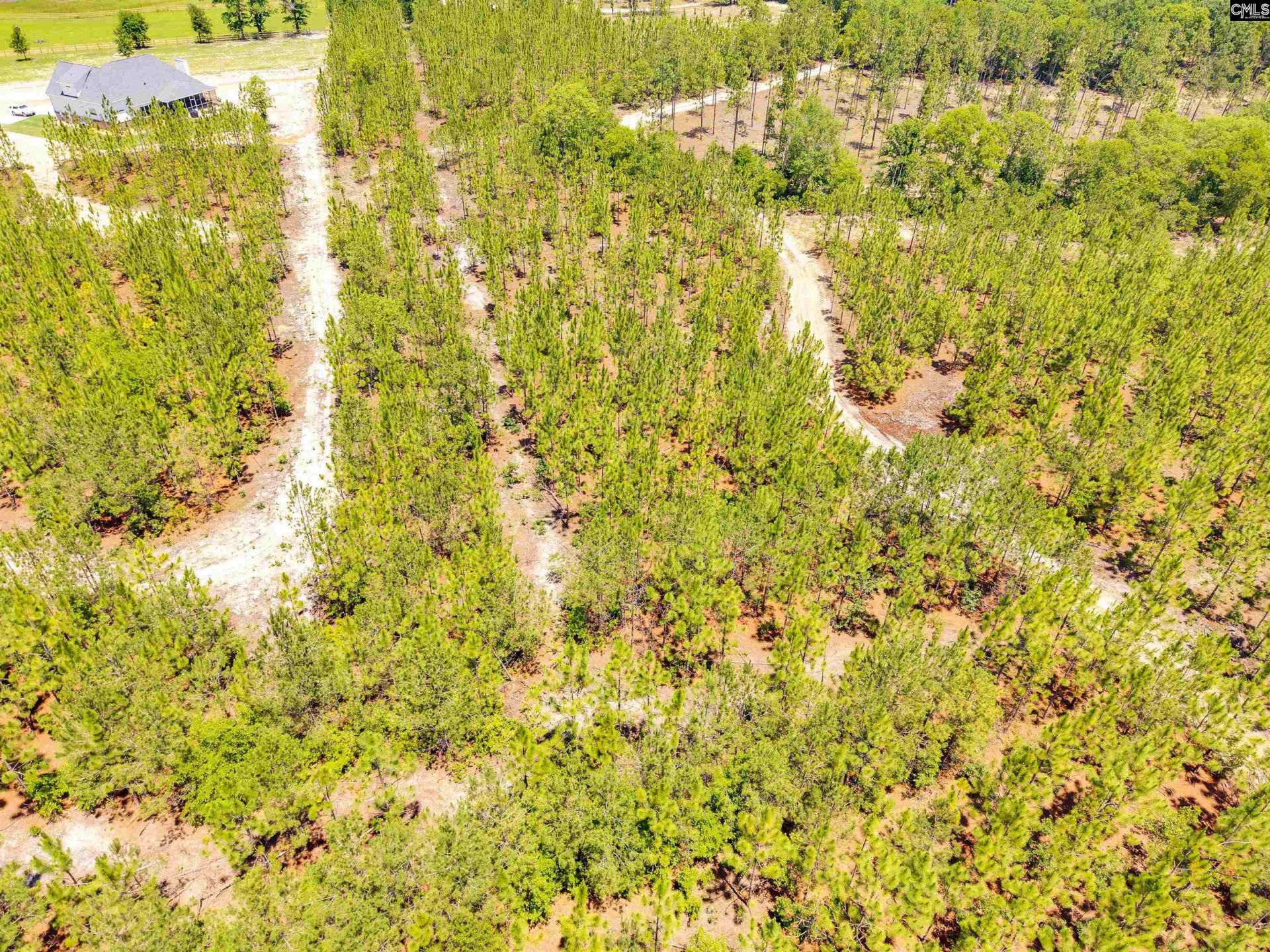 1549 Lawhorn Road  Photo 17