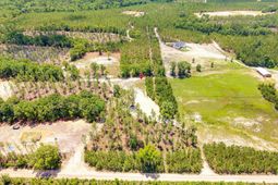 1549 Lawhorn Road  photo 4