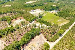 1549 Lawhorn Road  photo 4
