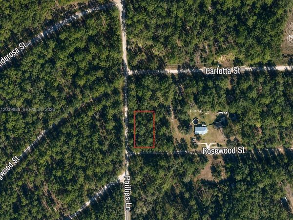 Georgetown, FL 32139