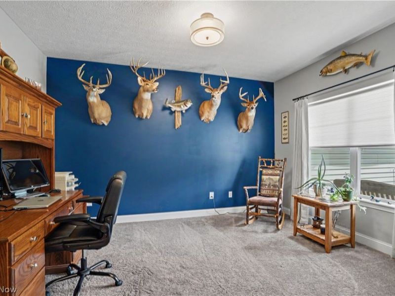 5667 N Torch Road, Coolville, OH 45723 Photo 15
