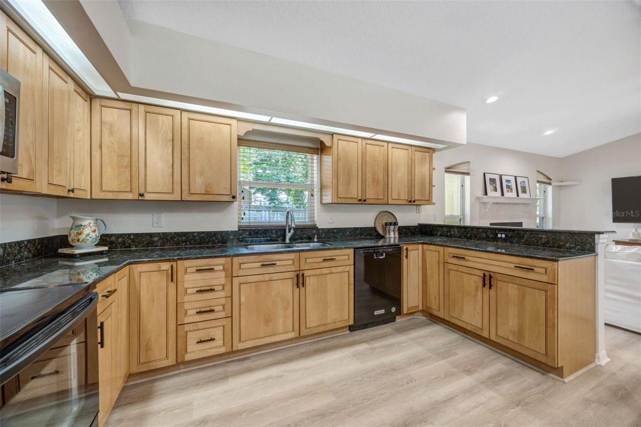 3015 Folklore Drive, Valrico, FL 33596 Photo