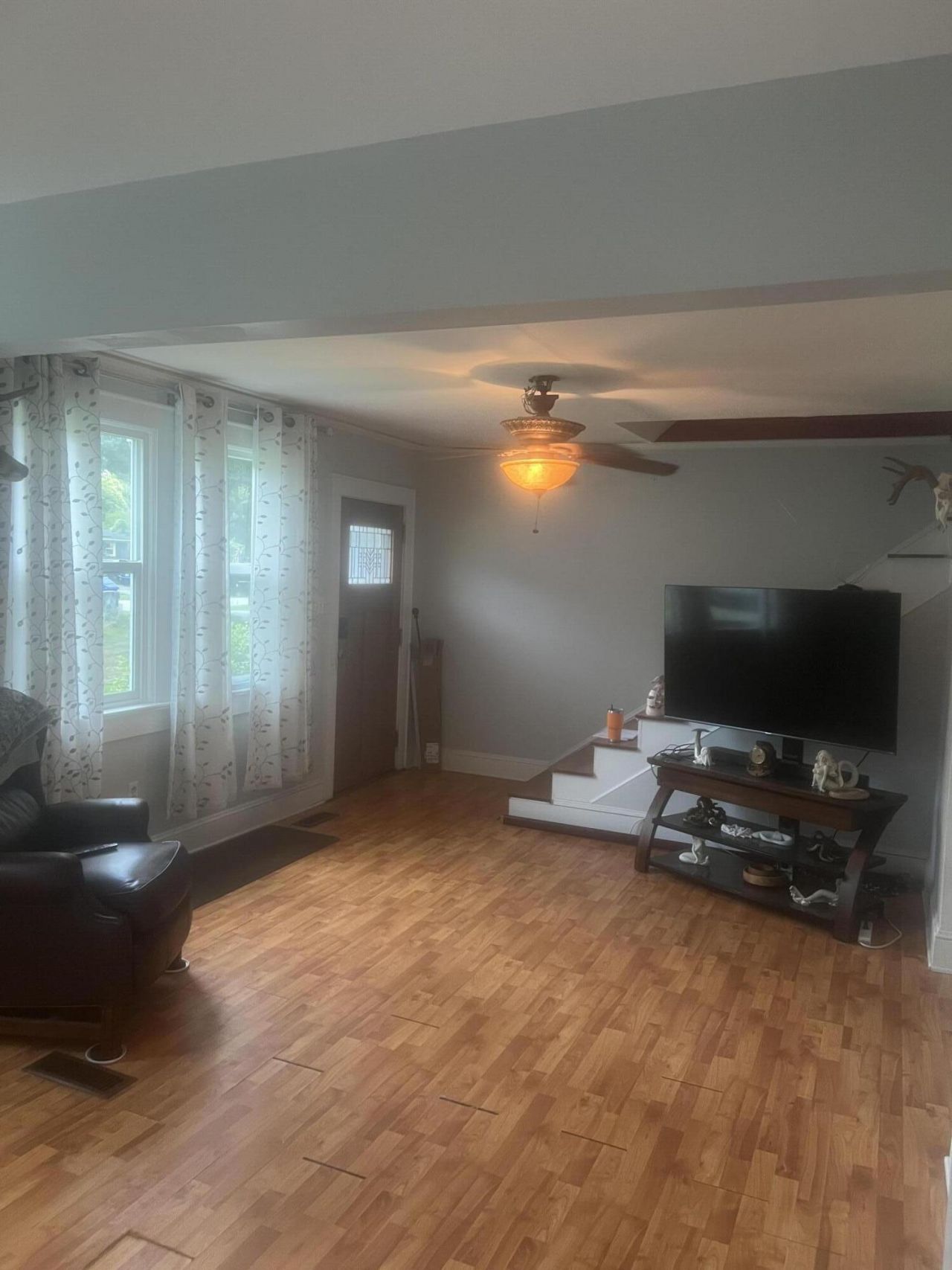 1735 Pinckney Park Drive Photo 5