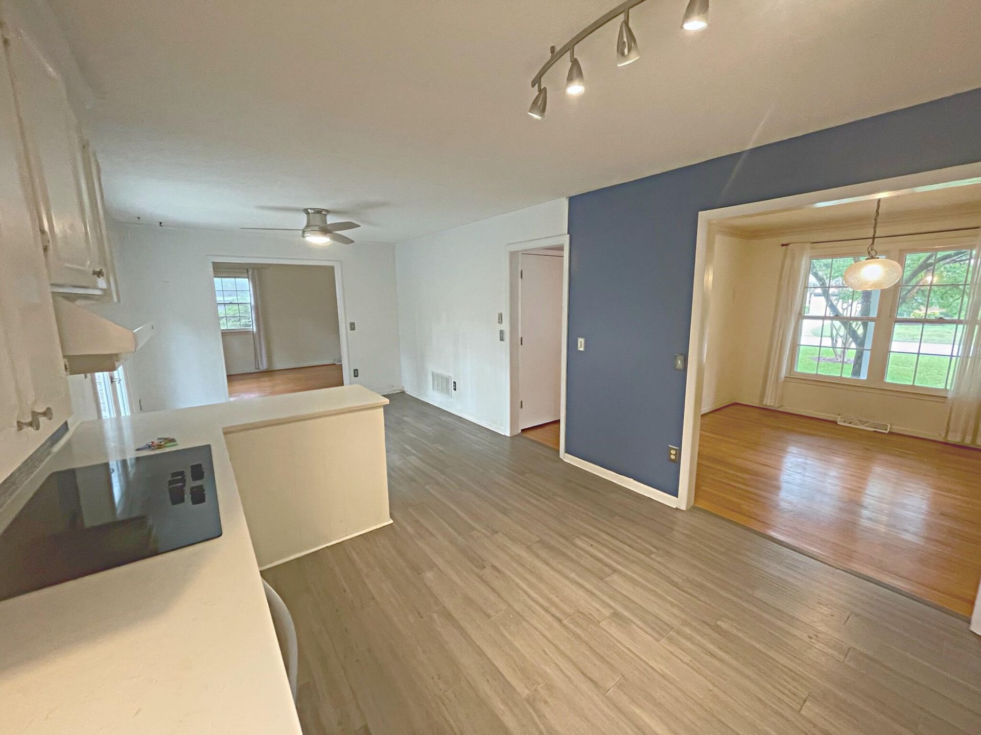 932 Tall Pine Road Photo 11