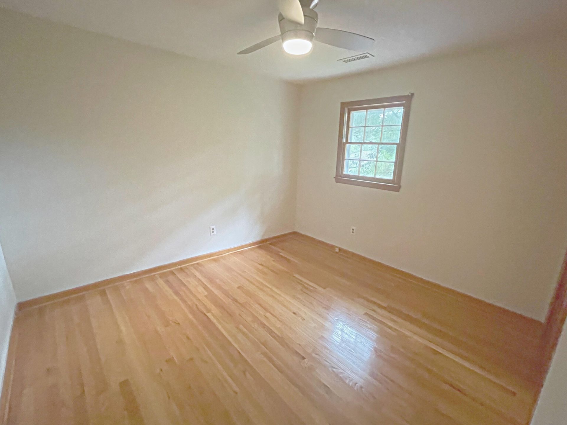 932 Tall Pine Road Photo 19