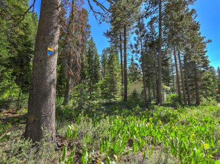 1573 Pebble Beach Drive, South Lake Tahoe, CA 96150 Photo