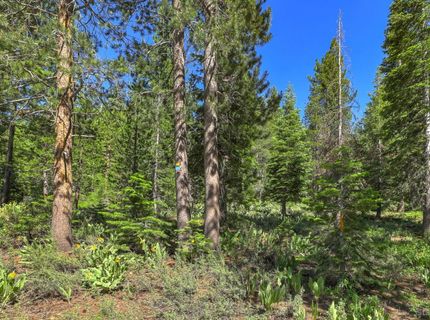 1573 Pebble Beach Drive, South Lake Tahoe, CA 96150 Photo