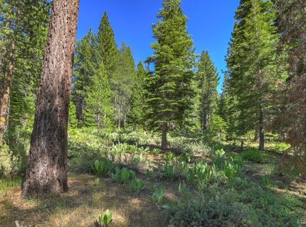 1573 Pebble Beach Drive, South Lake Tahoe, CA 96150 Photo