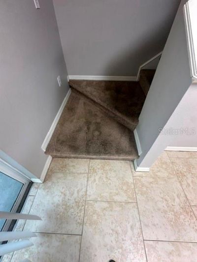 15723 Fishhawk Falls Drive , Lithia, FL 33547 Photo
