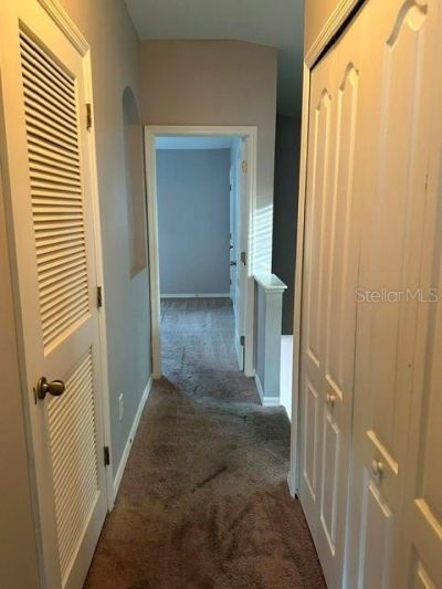 15723 Fishhawk Falls Drive , Lithia, FL 33547 Photo