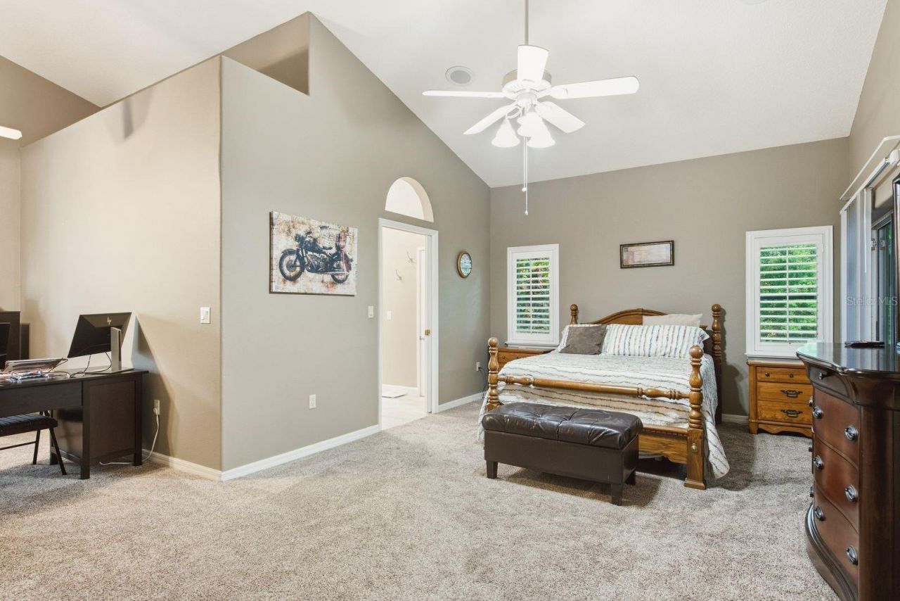 4788 Brayton Terrace S, Palm Harbor, FL 34685 Photo