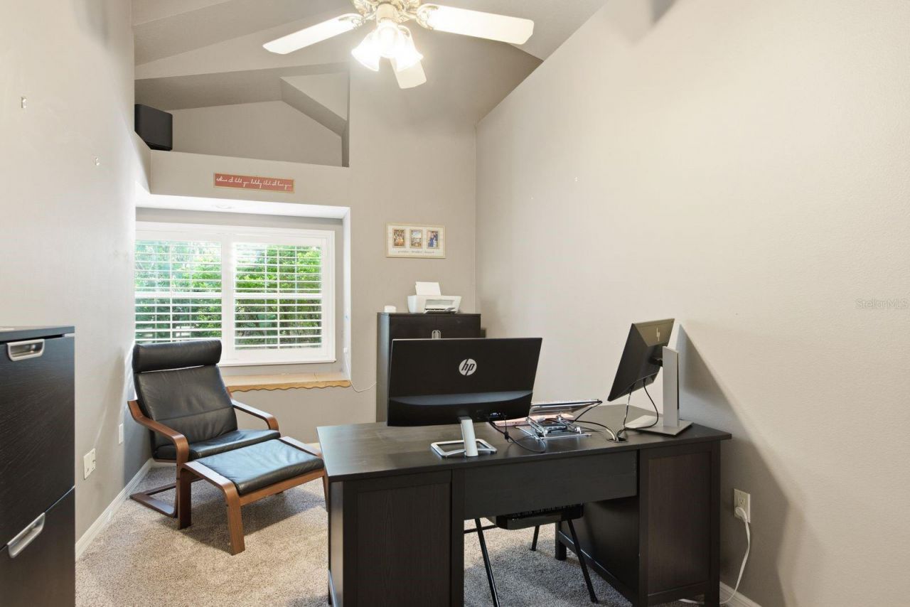 4788 Brayton Terrace S, Palm Harbor, FL 34685 Photo