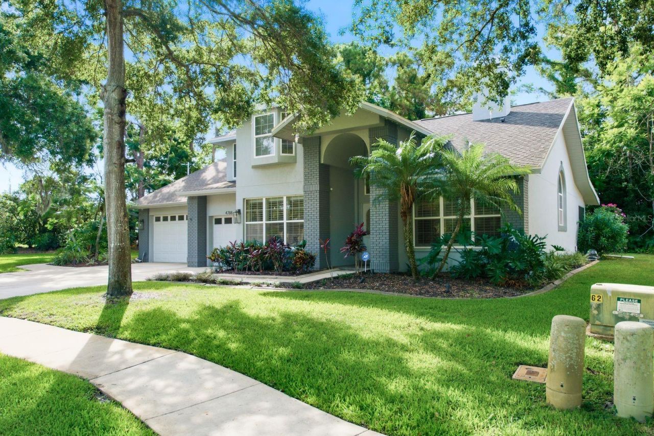 4788 Brayton Terrace S, Palm Harbor, FL 34685 Photo