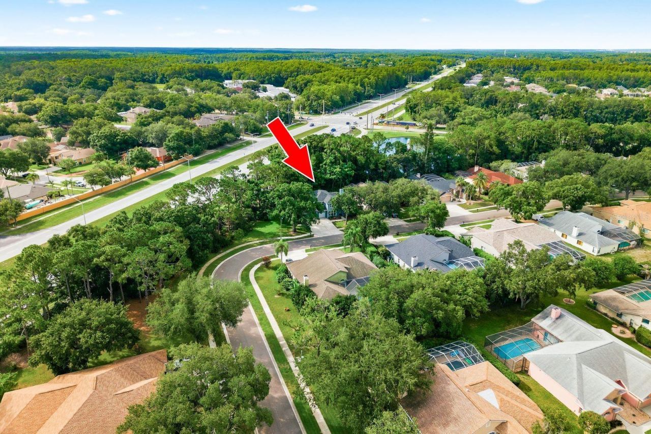 4788 Brayton Terrace S, Palm Harbor, FL 34685 Photo