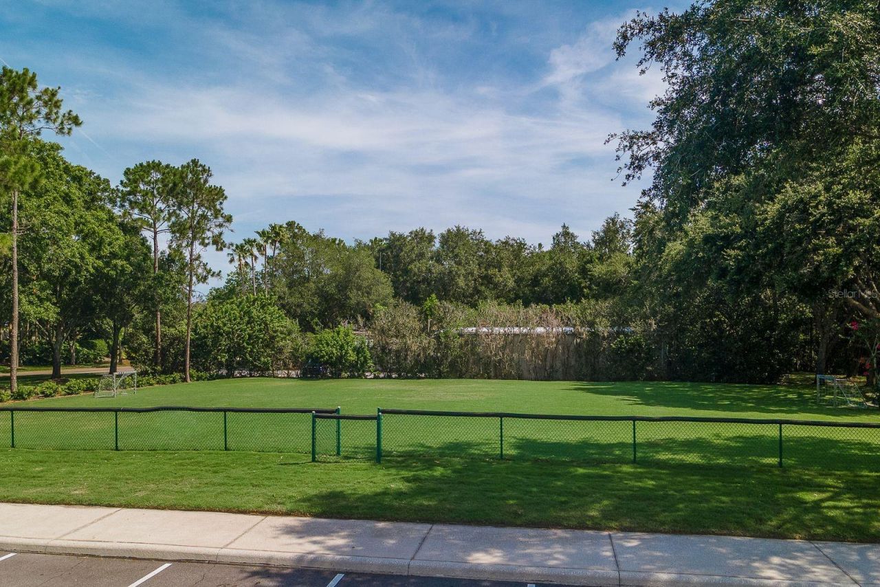 4788 Brayton Terrace S, Palm Harbor, FL 34685 Photo