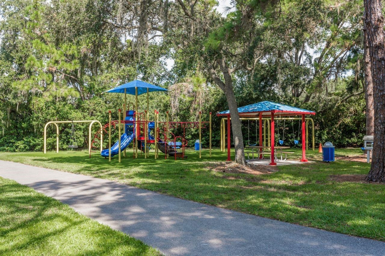 4788 Brayton Terrace S, Palm Harbor, FL 34685 Photo