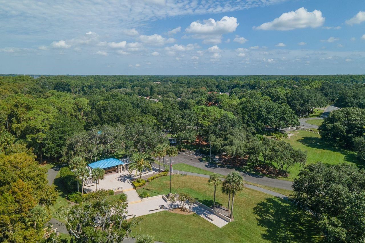 4788 Brayton Terrace S, Palm Harbor, FL 34685 Photo