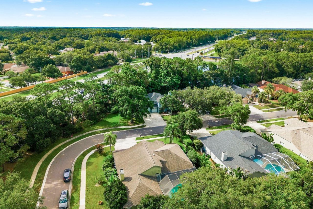 4788 Brayton Terrace S, Palm Harbor, FL 34685 Photo