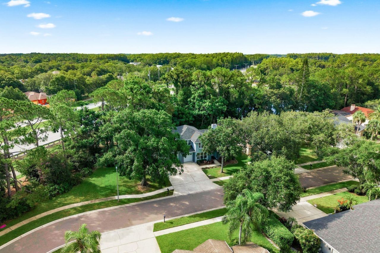 4788 Brayton Terrace S, Palm Harbor, FL 34685 Photo