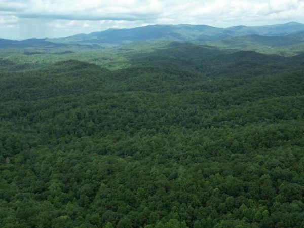 LOT 14 Oceola Drive, Ellijay, GA 30540