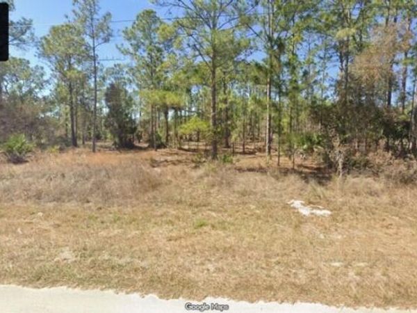 1303 Mcarthur Avenue, Lehigh Acres, FL 33972
