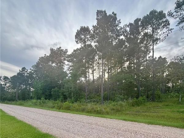 28019 ETTA BLOUNT Road , Albany, LA 70711