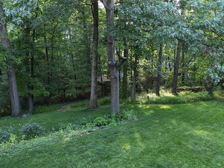Property Image 55