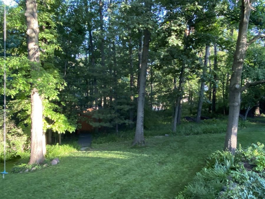 Property Image 67